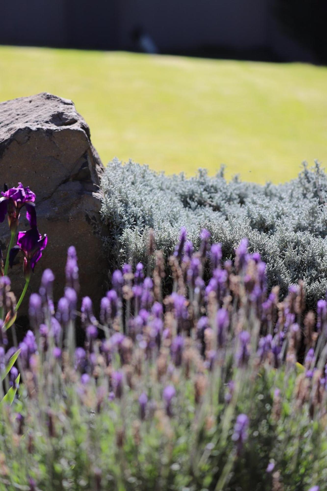 The Raz Bed & Breakfast Harrismith Eksteriør bilde